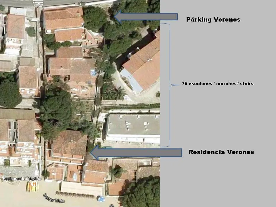 Verones 1A Roses